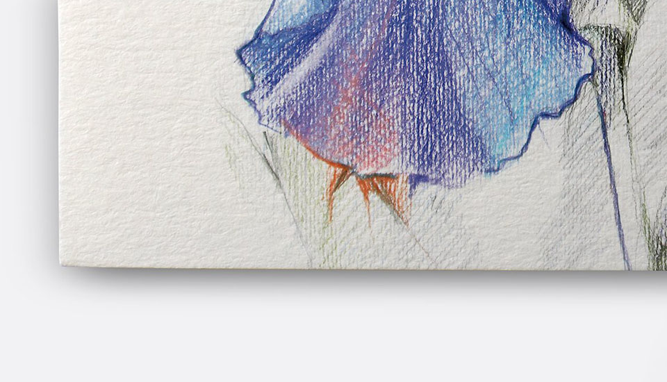 skicák wn drawing detail